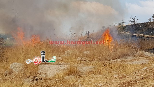 كفر قاسم -فيديو:اندلاع حريق في منتزة عبد الكريم قاسم وطواقم الاطفاء تسيطر على الحريق